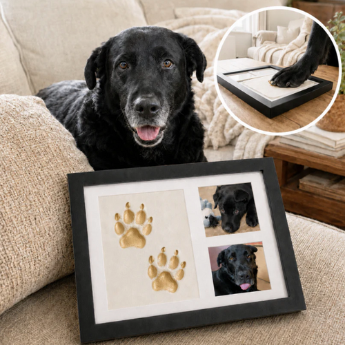 Forever Clay Paws Kit