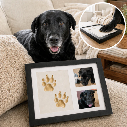 Forever Clay Paws Kit
