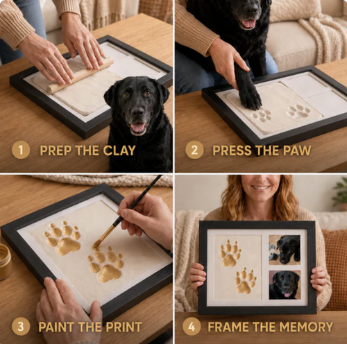 Forever Clay Paws Kit