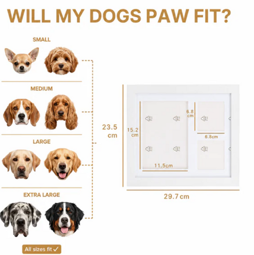 Forever Clay Paws Kit
